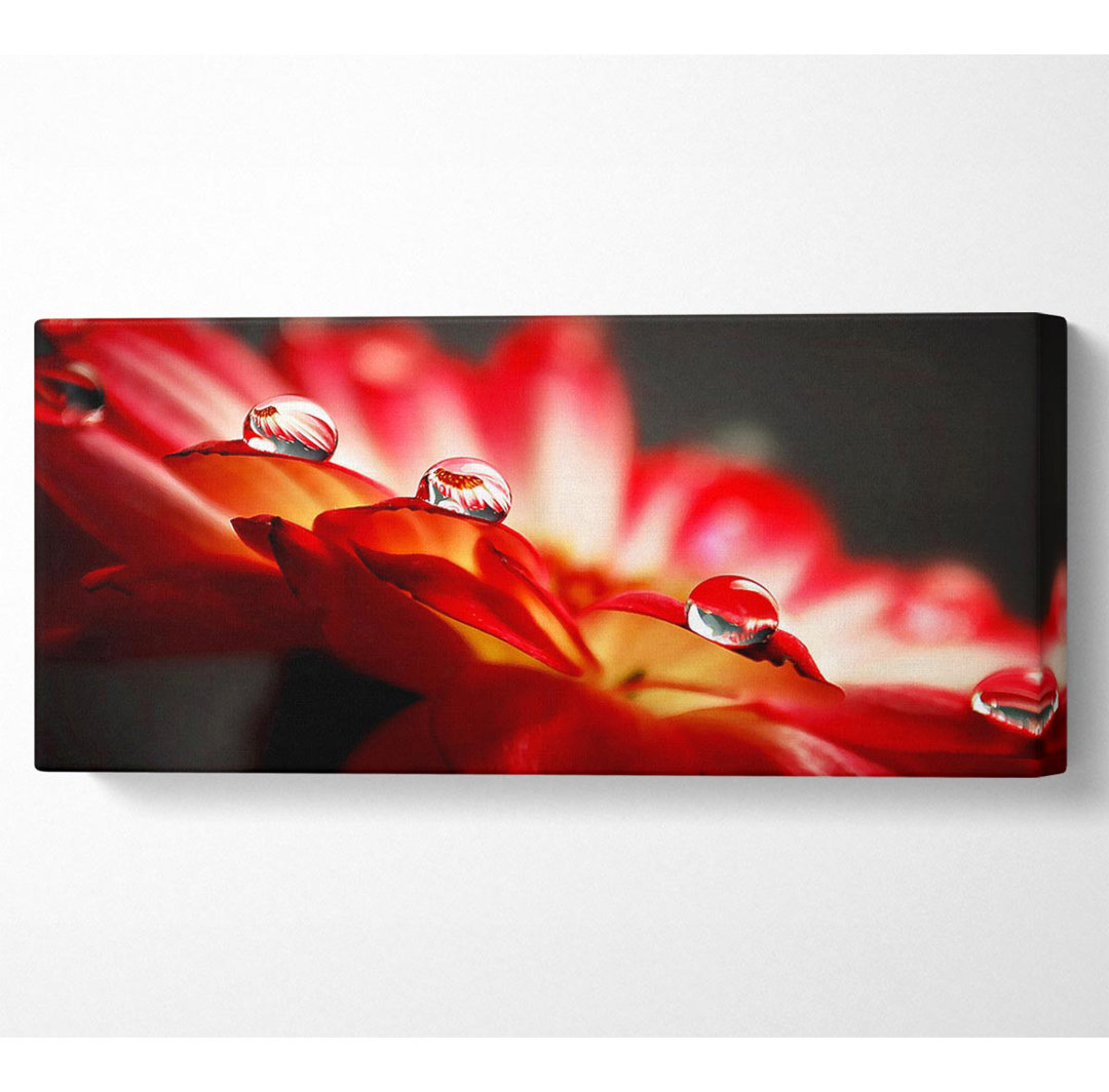 Macro Drops - Kunstdrucke auf Leinwand - Wrapped Canvas