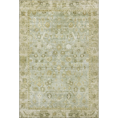 Premium Machine Washable Maag AMF1772 Global Rug