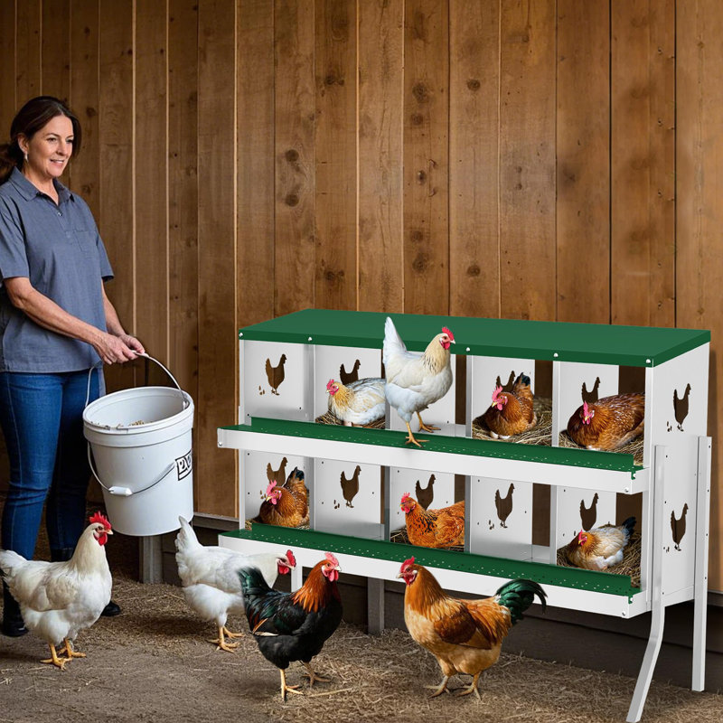 Boîte de nidification de poulet, 10 boîtes de nidification en métal pour poulailler, collection facile d'œufs, nettoyage facile, boîtes de ponte avec poules de support pour poules