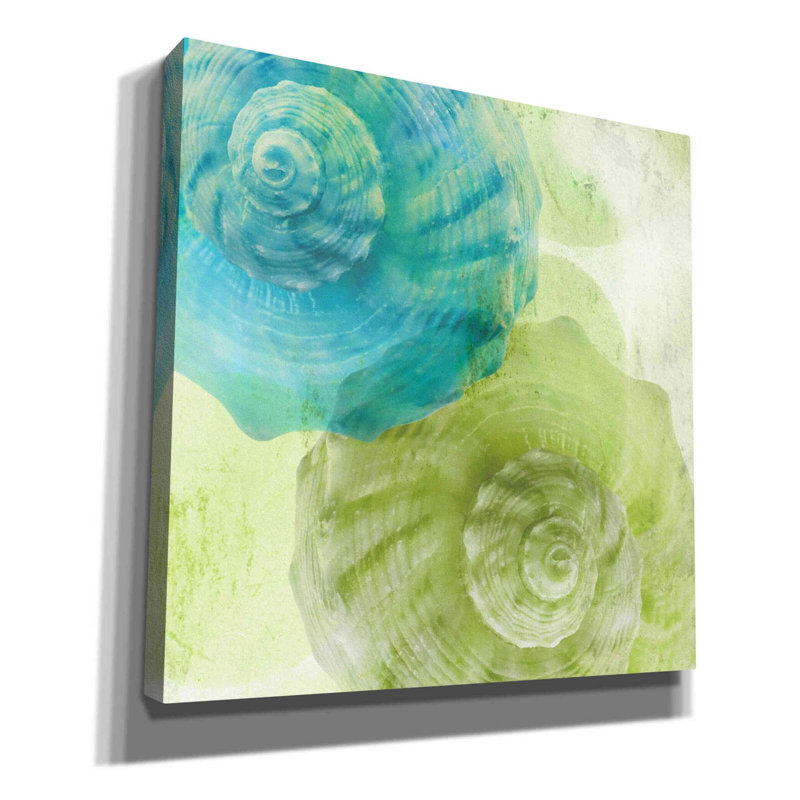 «Luminous Seashells 3» par Elena Ray, art mural sur toile, H 37 po x l 37 po x P 1,5 po