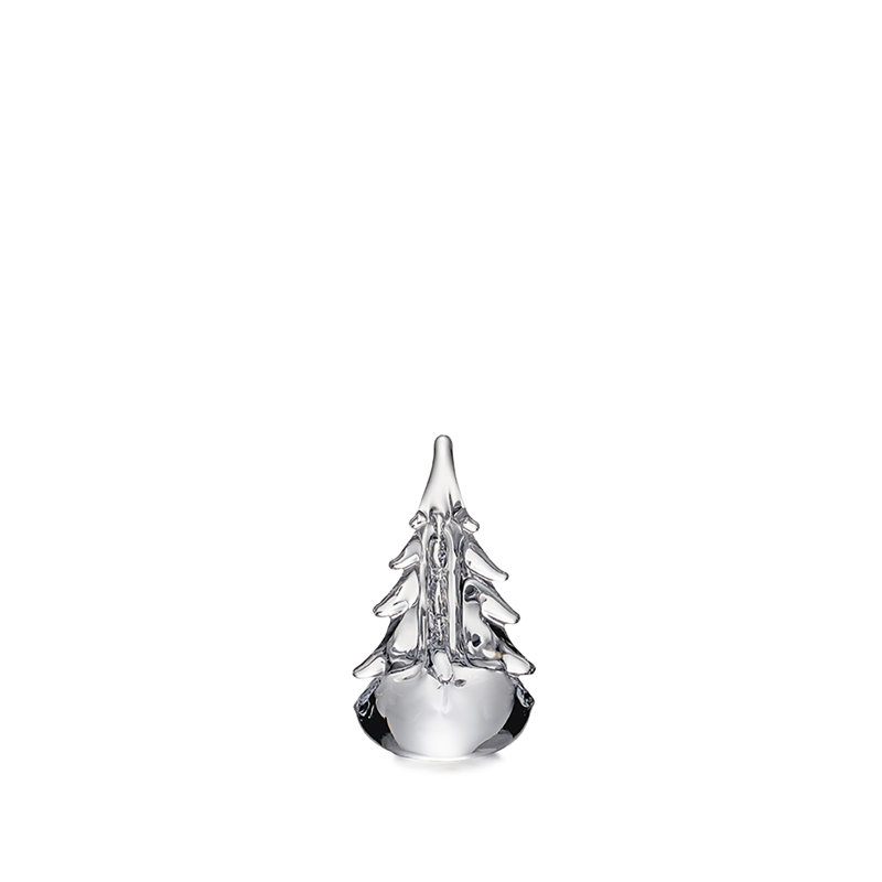 Five-Sided Evergreen, 6 inch