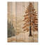 Autumn Forest Cedar Tree I - Traditional Wood Wall Art On Natural Pine Wood-1789784700