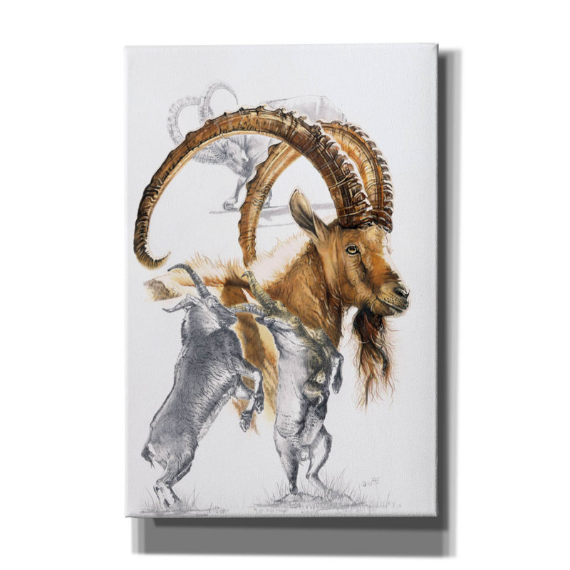 «Remaley Ibex On Canvas» par Barbara Keith, reproduction, H 18 po x l 12 po x P 0,75 po