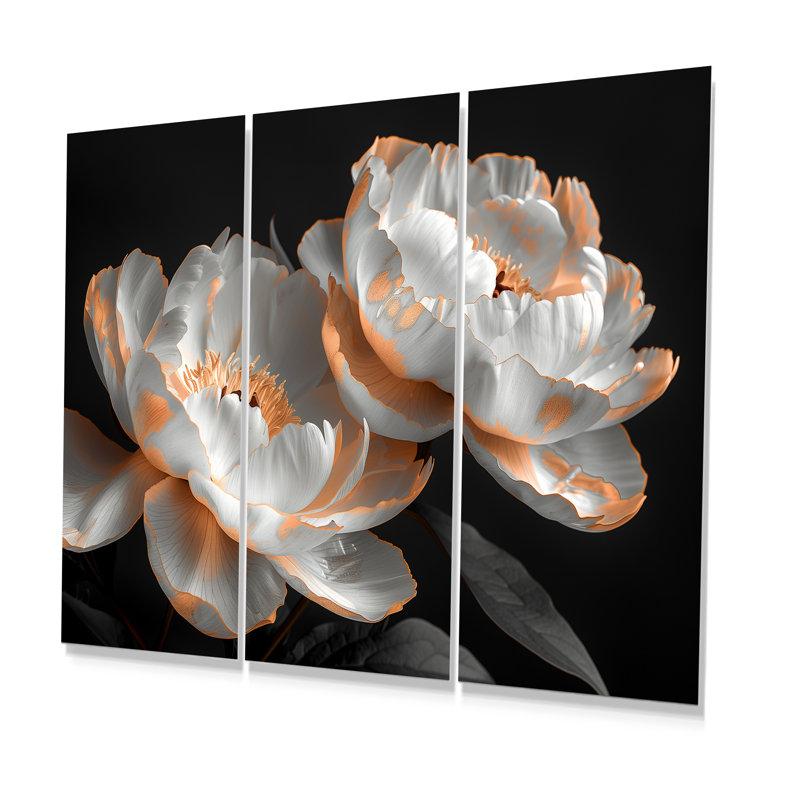 Rumbaugh - ensemble d'art mural pivoines, Toile tendue, H 40 po x l 60 po x P 1 po