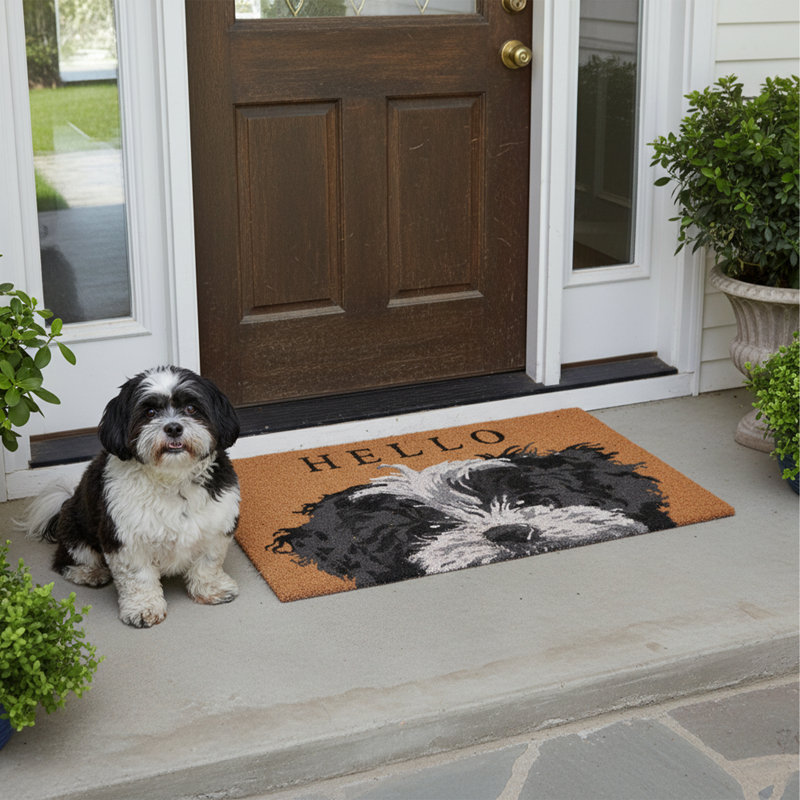 Non-Slip Outdoor Doormat