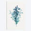 « botanique iii », impression sur toile-29688119-74412390-74440627