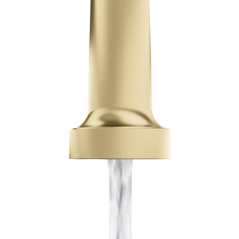 ZLINE Rubicon Pull Down Spring Spray Wand Kitchen Faucet in Champagne Bronze, Champagne Bronze