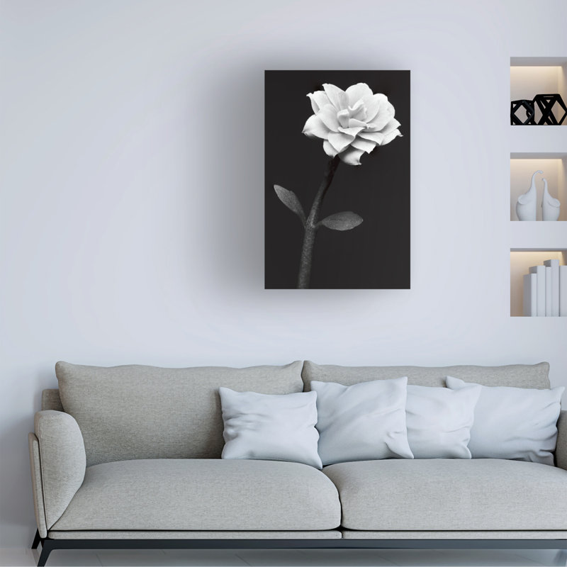 Anders Kustas  White Flower Canvas Art, L 30 po x H 47 po