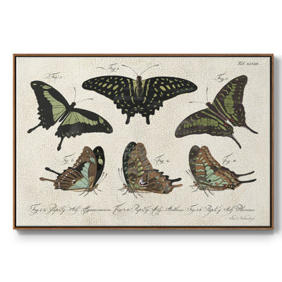 Janney Crackled Butterflies II, reproduction d'art encadrée