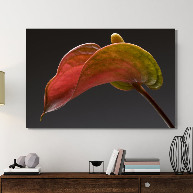 Anthurium 3 by Barry Siedman - Wrapped Canvas Painting, 41 cm H x 61 cm W x 4 cm D
