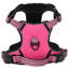 Pet Carrier-644978351