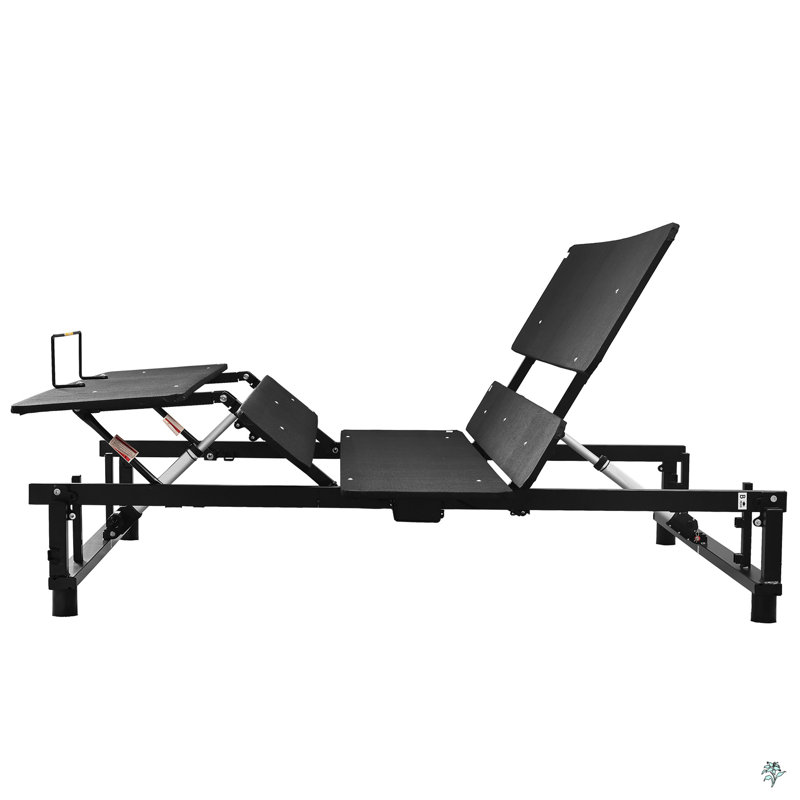 Raynette King Adjustable Bed, King