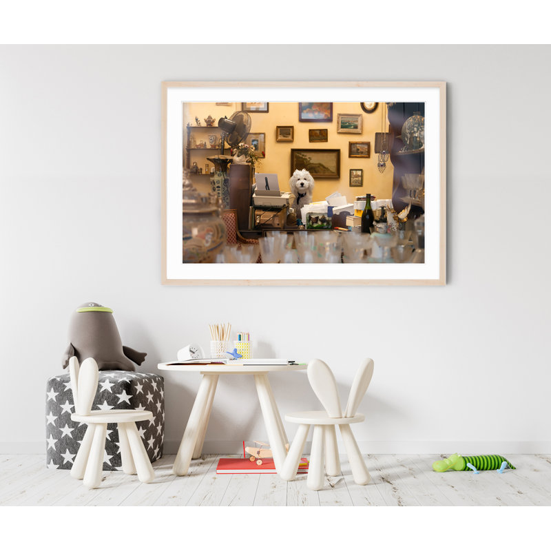 Parisian Dog at Work - Picture Frame Photograph on Paper , 33" H x 47" W, Black Framed