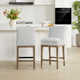 Bethea Upholstered Counter Stool (Set of 2)