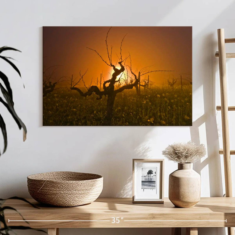 Alvord Empty Grapevine Vineyard, H 16 po x l 24 po
