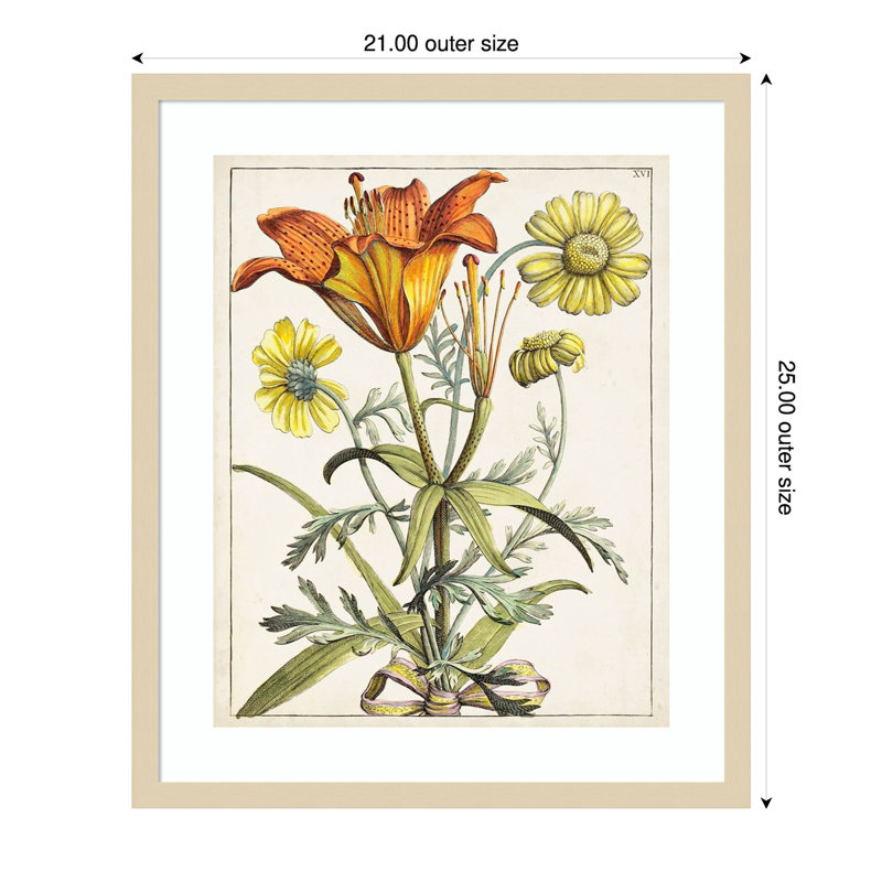 «Dutch Florals V», reproduction d'art encadrée en bois, H 25 po x l 21 po
