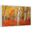 Bouleaux d'automne-223524191-223524184