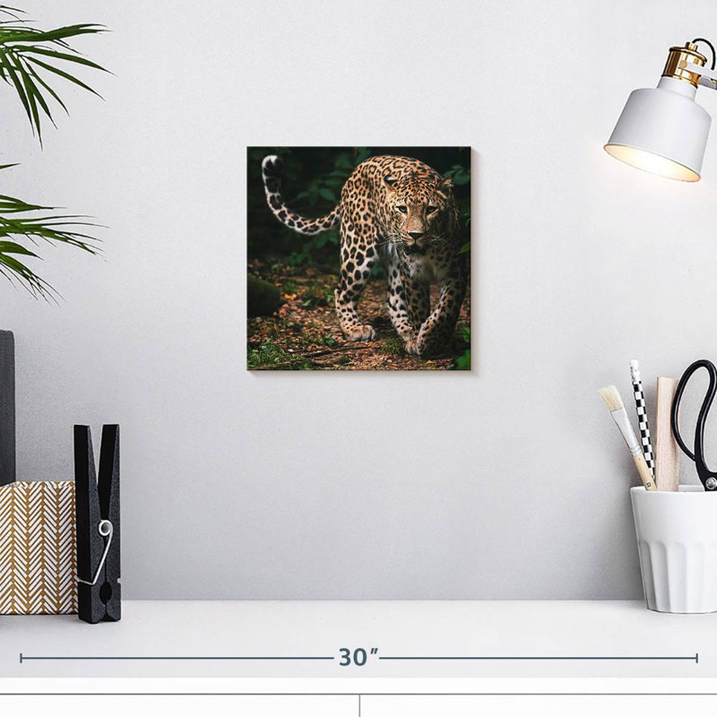Brampt Wild Persian Leopard, 10" H x 10" W