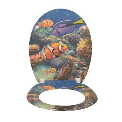 Aquarium Soft Close Elongated Toilet Seat