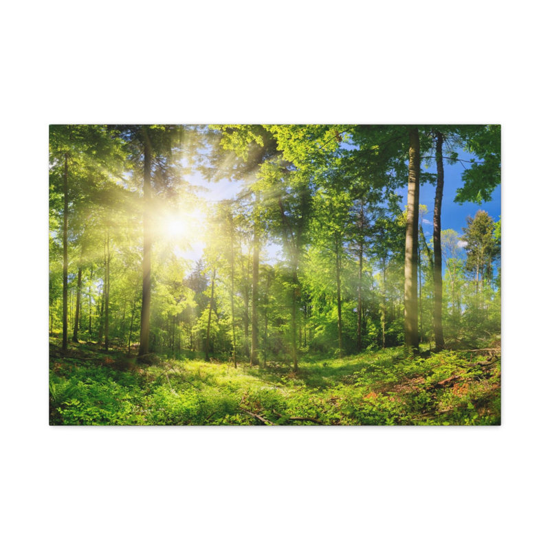 No Frame Print on Canvas, 24cm H x 30cm W