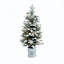 Arbre de Noël illuminé par la neige-1471467188