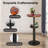 Jawana 2 - Person Pine Solid Wood Top Pedestal Dining Set