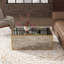 Adelais Antique Mirrored Coffee Table-1542432411