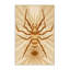Tapis beige lavable à la machine Pavnesh Mid-Century Starburst Camel-1852605260