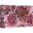 Succulent " Purple And Pink Rose Crassula Succulent Wilderness "-99543544