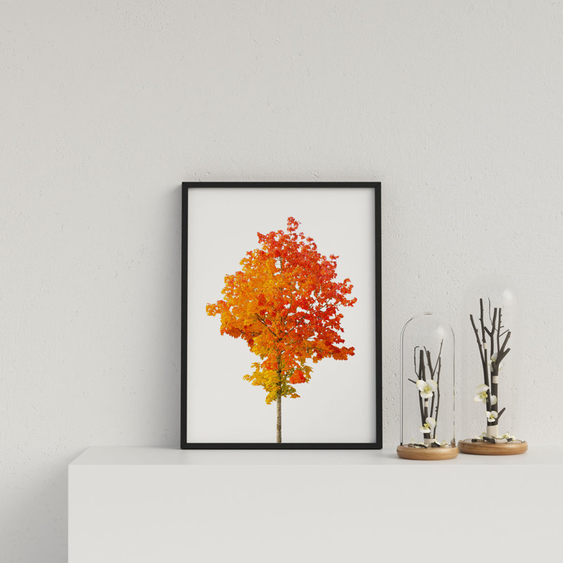 Vibrant Orange Tree On White Background by Vouvart - Single Picture Frame Print