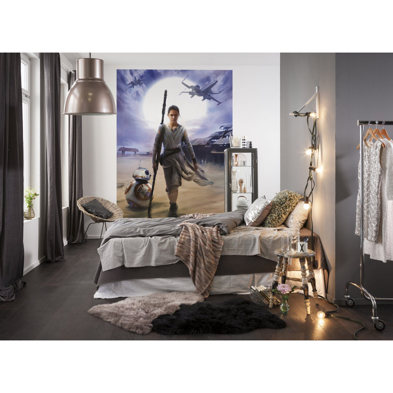 Carolyn Star Wars Rey Wall Mural