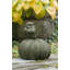 Bird Owl Plants & Flowers Garden Statue-13915506