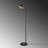 43.623'' Black Task Floor Lamp