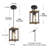 Donterrio 1 - Light Pendant