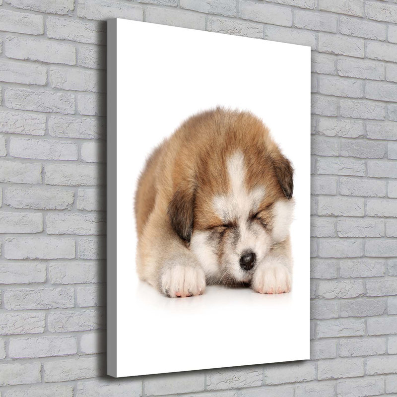 Akita Puppy - Wrapped Canvas Print