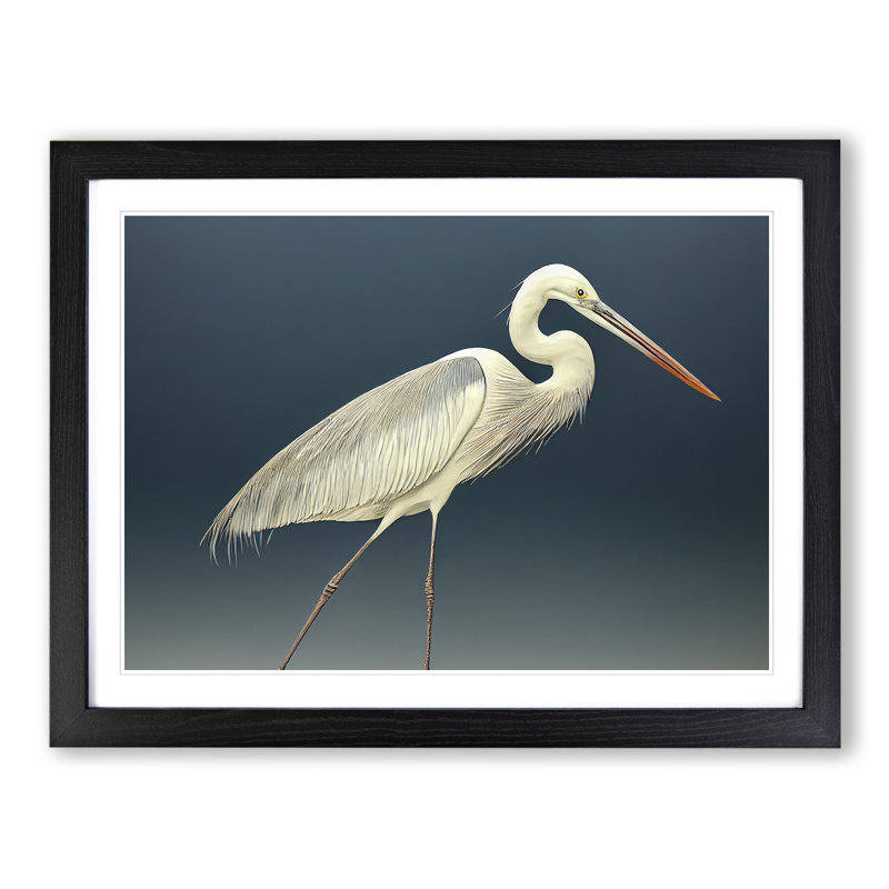 Astounding Heron Bird - Single Picture Frame Print, Black Framed, 25cm H x 34cm W x 2cm D