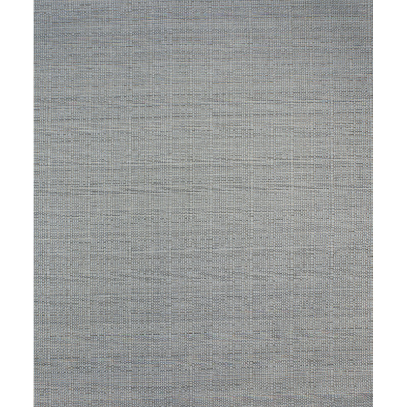 Tissu suffield, Île Seymour Nord, Galapagos