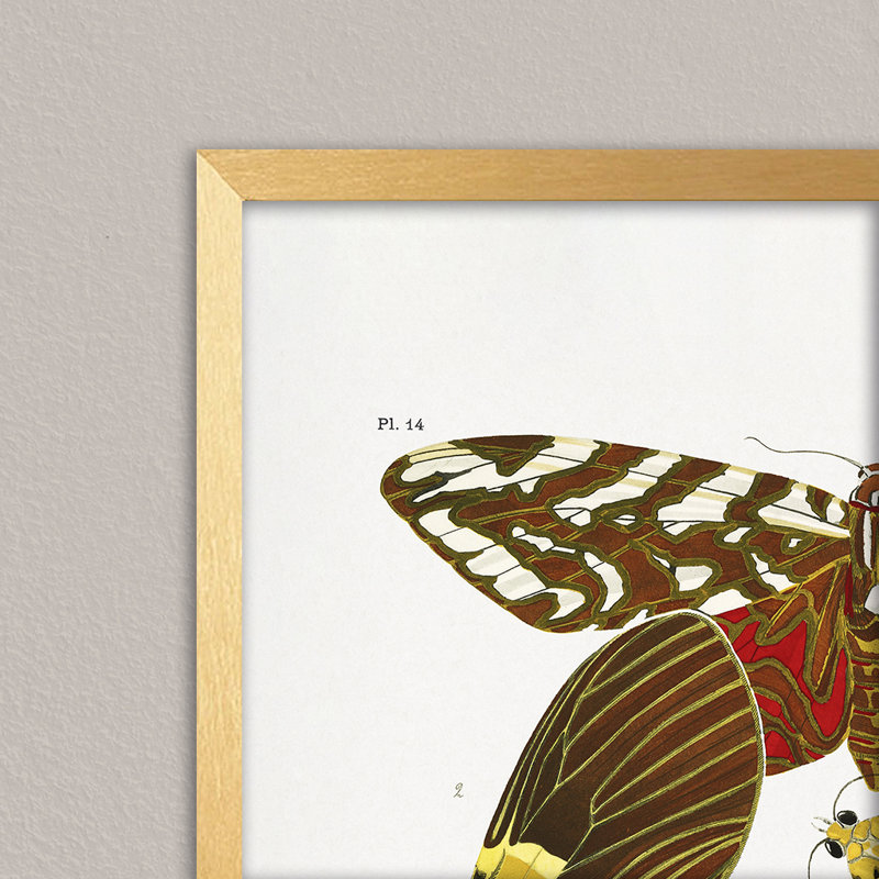 "Nature Inspired" 6 "par Émile-Allain Séguy, reproduction d'art encadrée, H 10 po x l 8 po