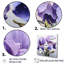 Mauve iris, splendeur réaliste - Art mural iris-1772672493-1772672494