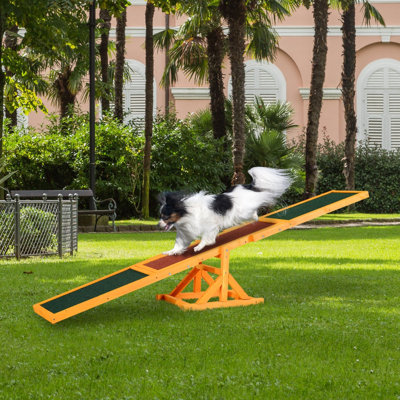 Pawtivity Agility Set