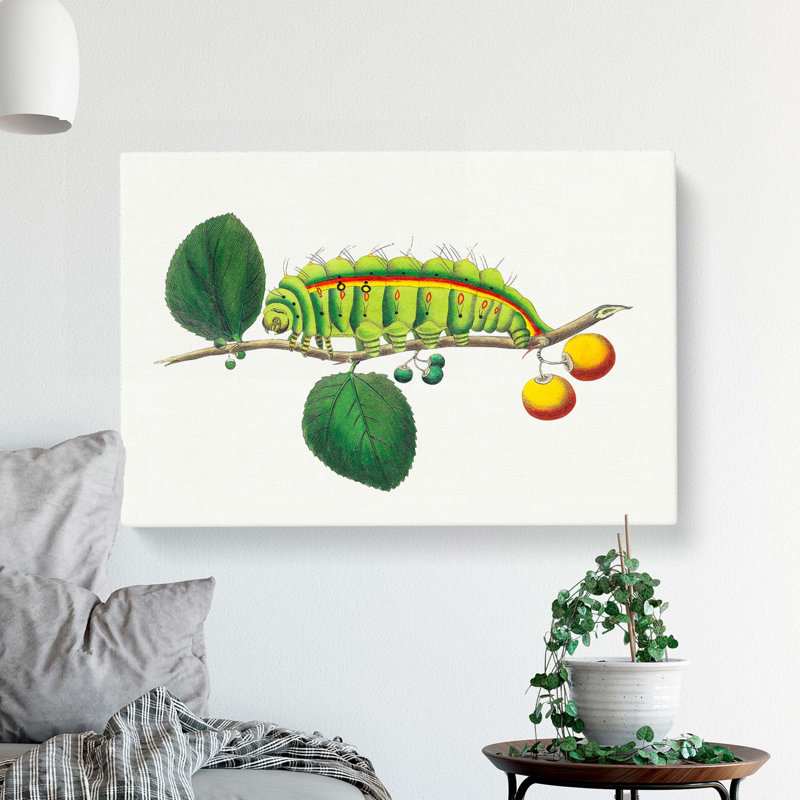 Caterpillar by George Shaw - Wrapped Canvas Painting, 40cm H x 60cm W x 3cm D