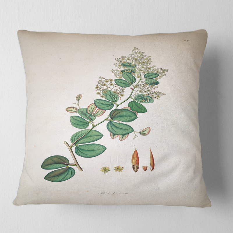 Housse et insert de coussin Botanicals, 16" x 16"