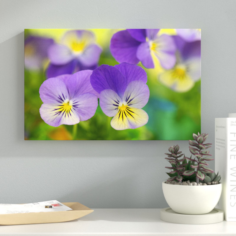 «Violets» par Cora Niele, reproduction de photo sur toile tendue, H 12 po x l 19 po x P 2 po