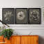 «Blossfeldt Flower I», ensemble de 3 impressions sur toile encadrées-1488156594-1488156599