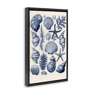 Cadre flottant de la collection Conch & Creature, design par LSR Design Studio