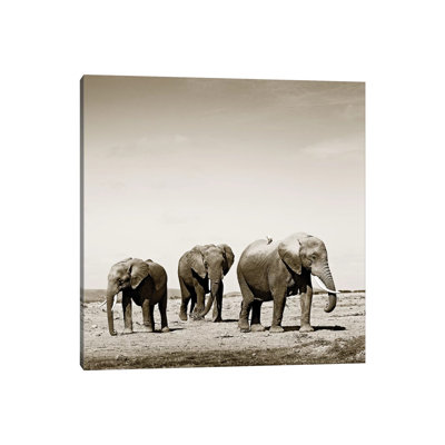 Lumbering Elephants by Klaus Tiedge - Wrapped Canvas Print