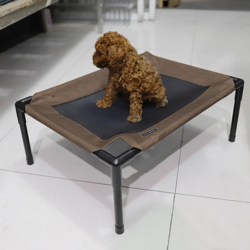 Lit pour chien Gorgi, Petit (l 21,26 po x P 16,14 po x H 8,27 po), Marron