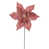 Or rose