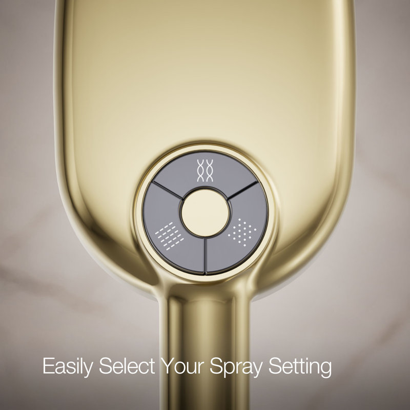 Statement 2.5 GPM Oval Multifunction Handshower With Katalyst Air-Induction Technology, Gold