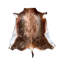 Tapis Bhavesh Blesbok